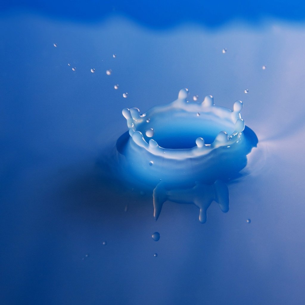 Обои вода, синий, брызги, молоко, water, blue, squirt, milk разрешение 1920x1200 Загрузить