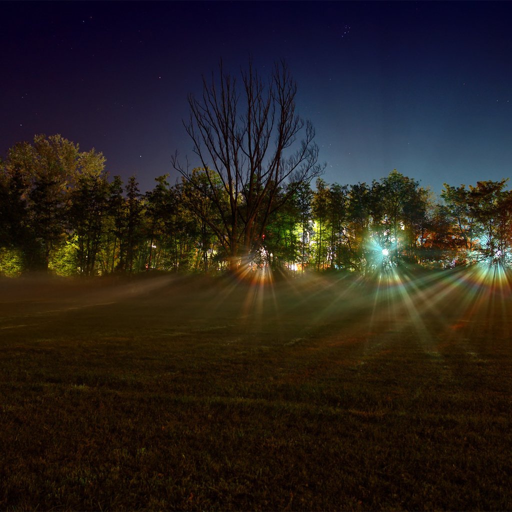 Обои свет, леса, ночь, деревья, огни, фото, лучи, поле, пейзажи, light, forest, night, trees, lights, photo, rays, field, landscapes разрешение 1920x1200 Загрузить