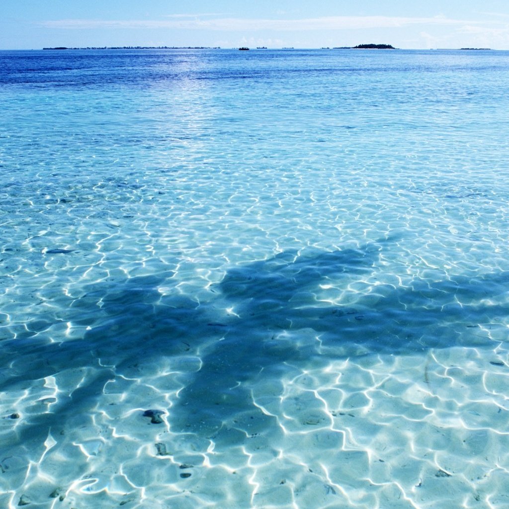 Обои небо, вода, синий, горизонт, тень, пальма, the sky, water, blue, horizon, shadow, palma разрешение 1920x1200 Загрузить