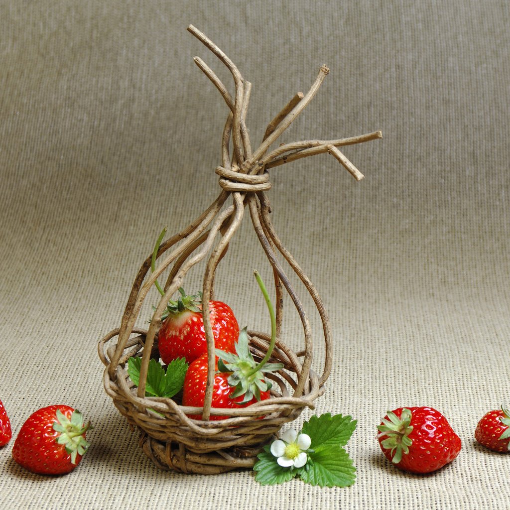 Обои клубника, корзинка, из, веток, strawberry, basket, from, branches разрешение 1920x1200 Загрузить