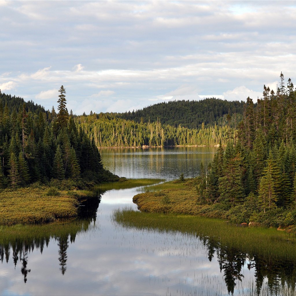 Обои озеро, канада, laurentide door, lake, canada разрешение 2560x1600 Загрузить