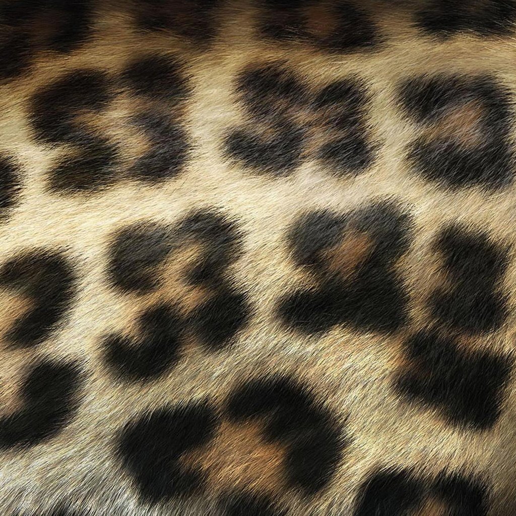 Обои шерсть, леопард, пятна, мех, wool, leopard, spot, fur разрешение 1920x1200 Загрузить