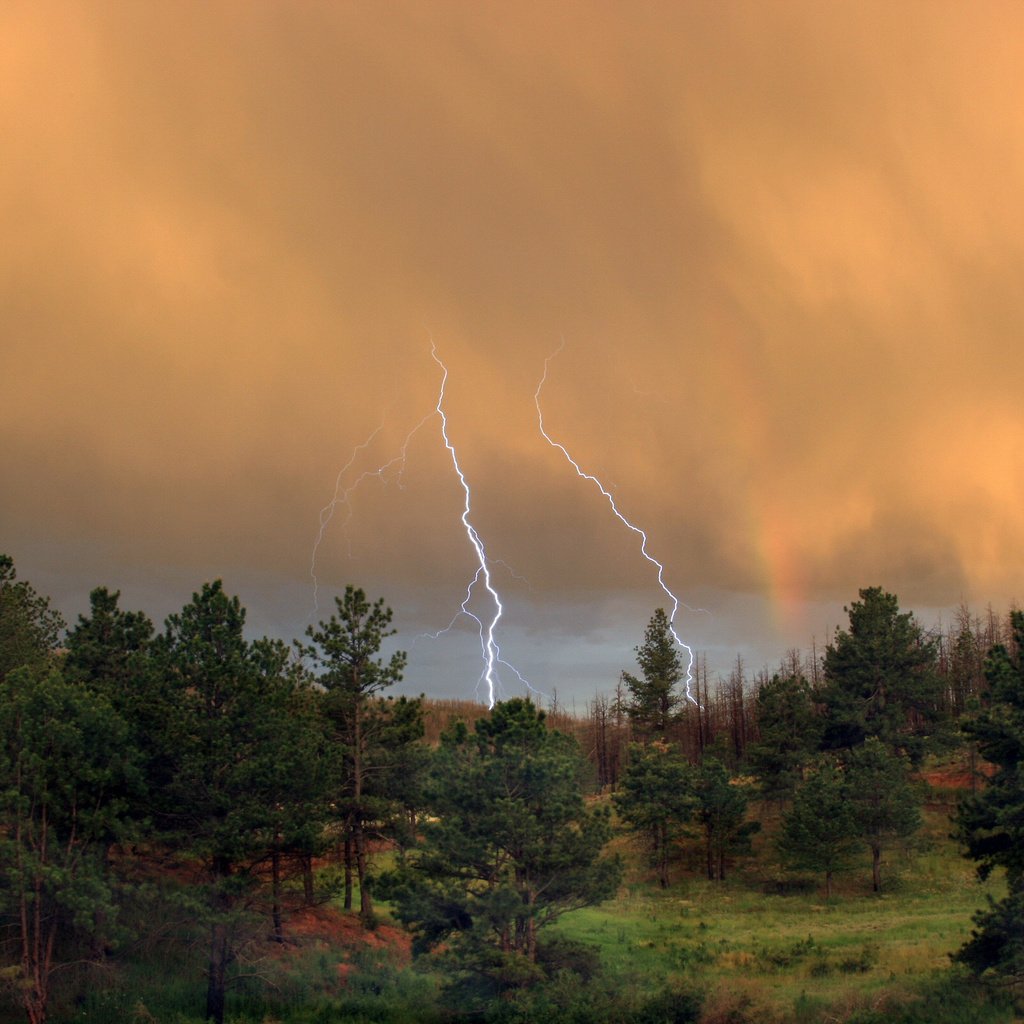 Обои лес, тучи, молния, forest, clouds, lightning разрешение 2560x1600 Загрузить