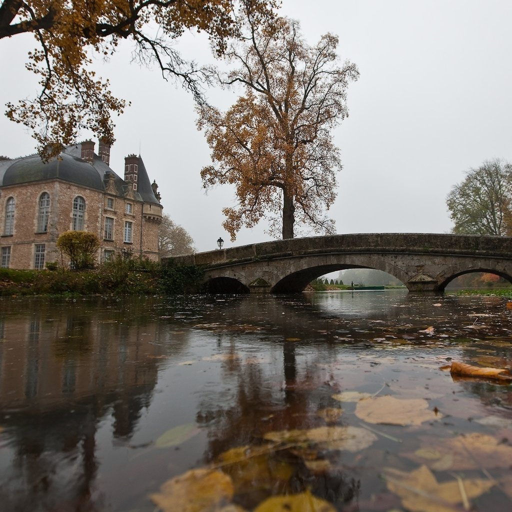 Обои вода, листья, мост, осень, дом, дождь, пруд, water, leaves, bridge, autumn, house, rain, pond разрешение 1920x1200 Загрузить