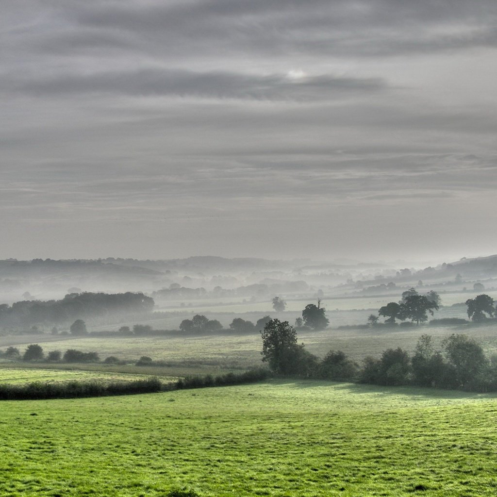 Обои деревья, поля, туман, trees, field, fog разрешение 1920x1440 Загрузить