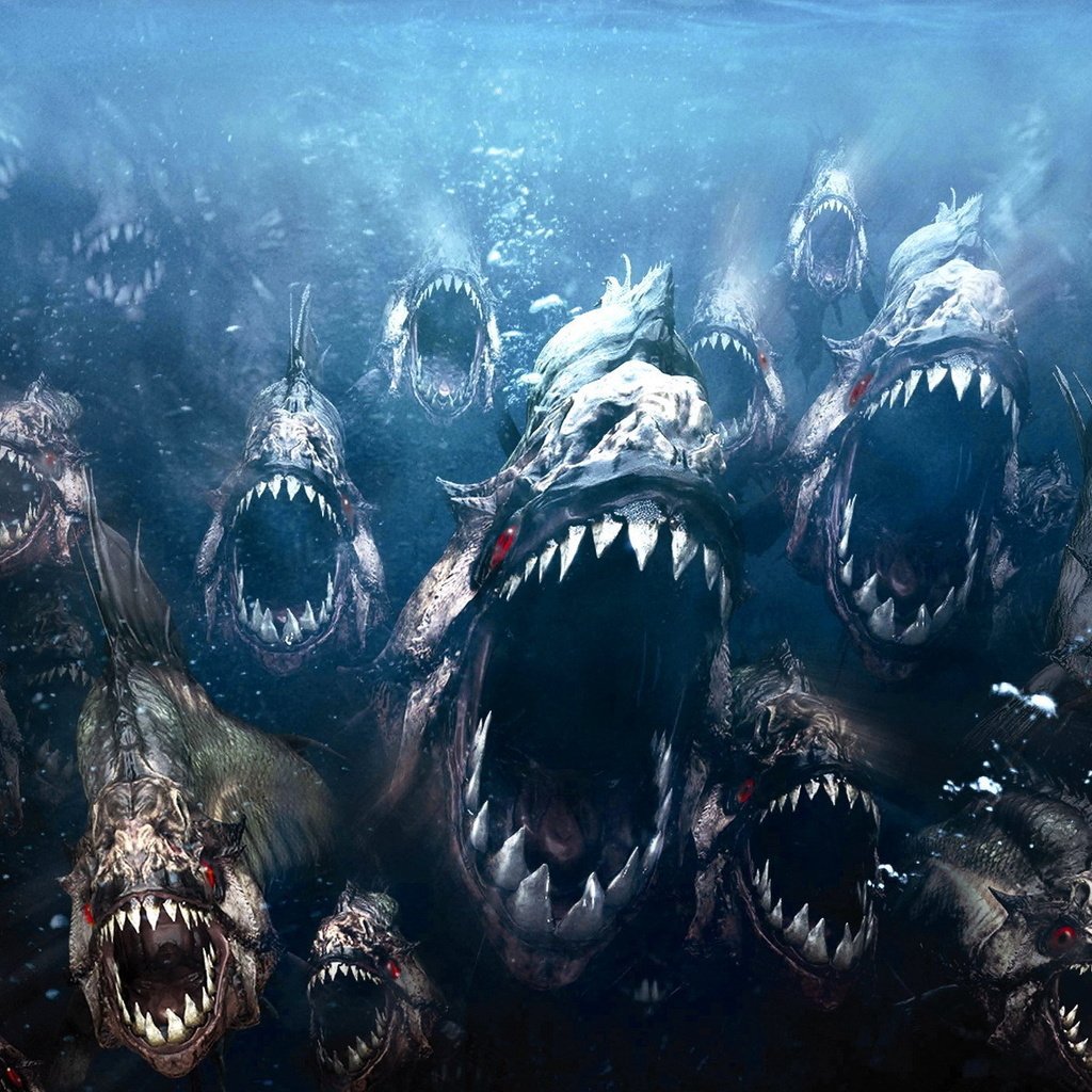 Обои рыбки, злые, пираньи, fish, evil, piranhas разрешение 1920x1200 Загрузить