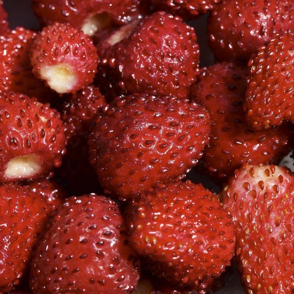 Обои клубника, красный, ягоды, земляника, strawberry, red, berries, strawberries разрешение 1920x1200 Загрузить