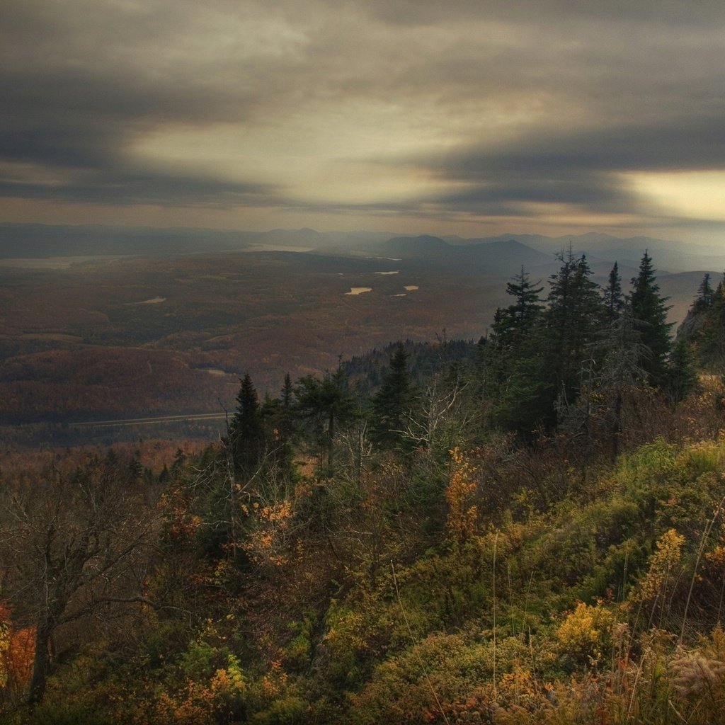 Обои лес, грусть, осень, forest, sadness, autumn разрешение 1920x1440 Загрузить