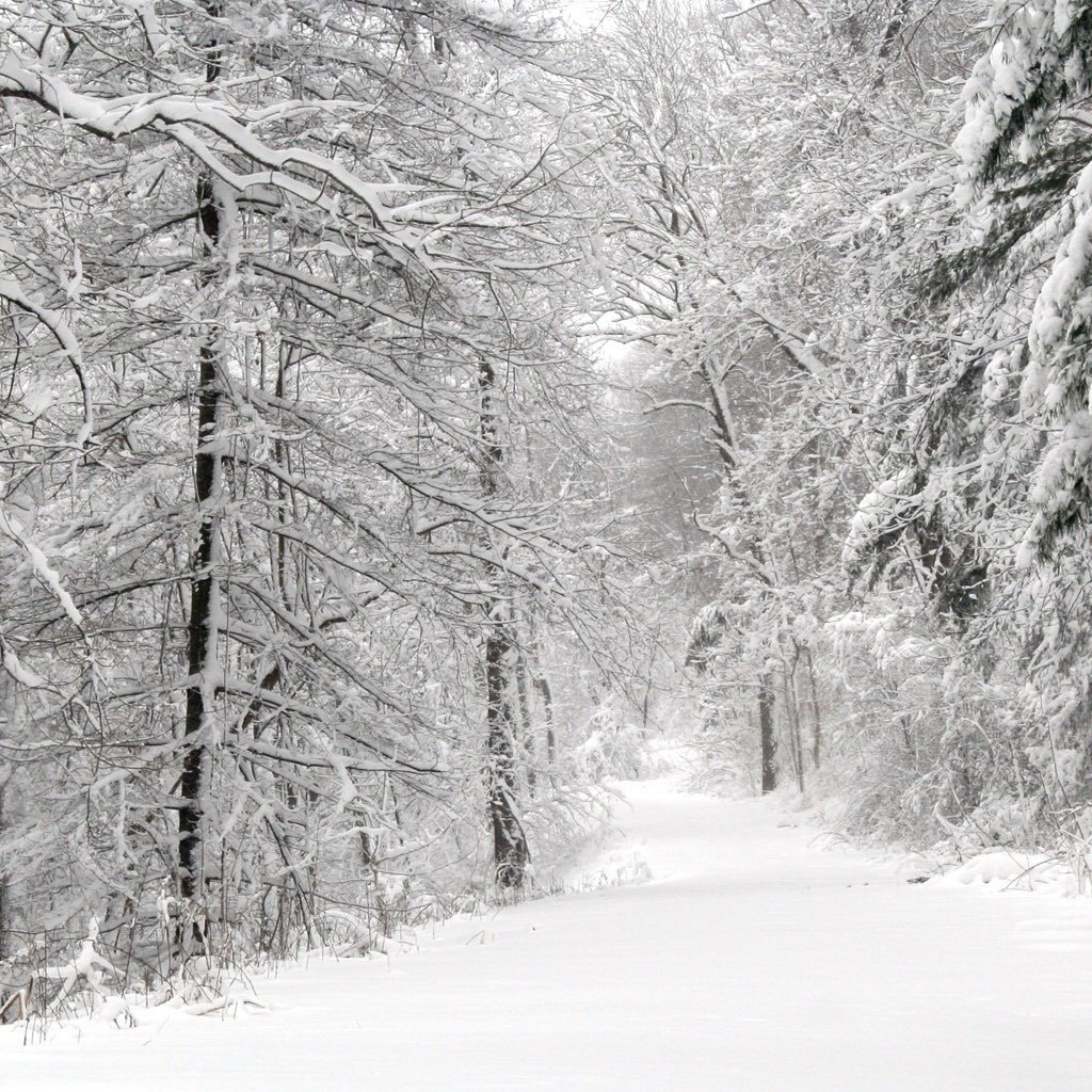 Обои дорога, деревья, снег, road, trees, snow разрешение 2560x1024 Загрузить