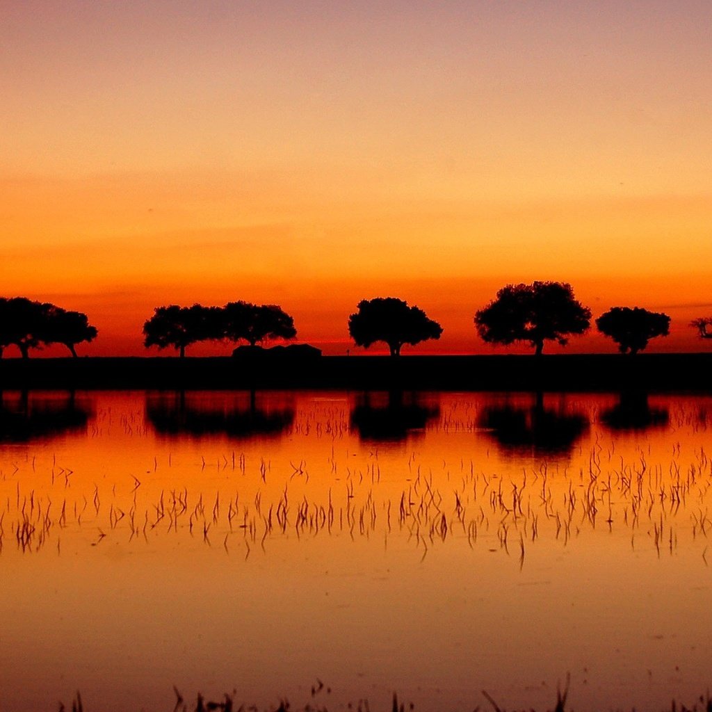 Обои деревья, озеро, закат, отражение, trees, lake, sunset, reflection разрешение 1920x1200 Загрузить