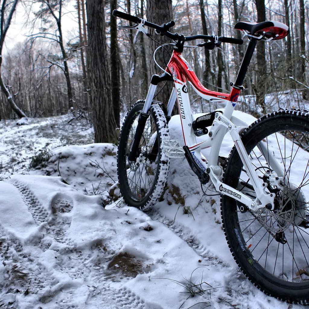 Обои снег, лес, зима, цвет, велосипед, рама, snow, forest, winter, color, bike, frame разрешение 1920x1200 Загрузить