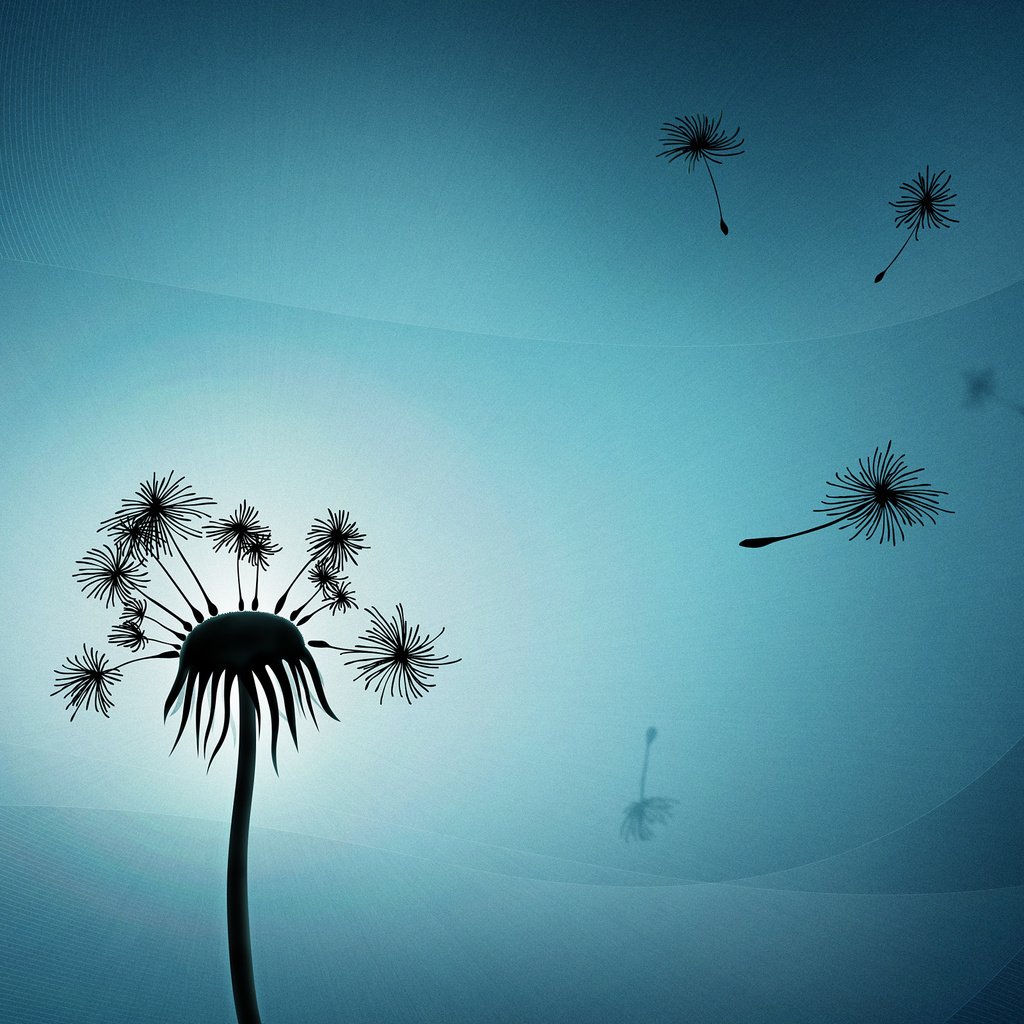 Обои свет, минимализм, одуванчик, пух, light, minimalism, dandelion, fluff разрешение 2560x1600 Загрузить