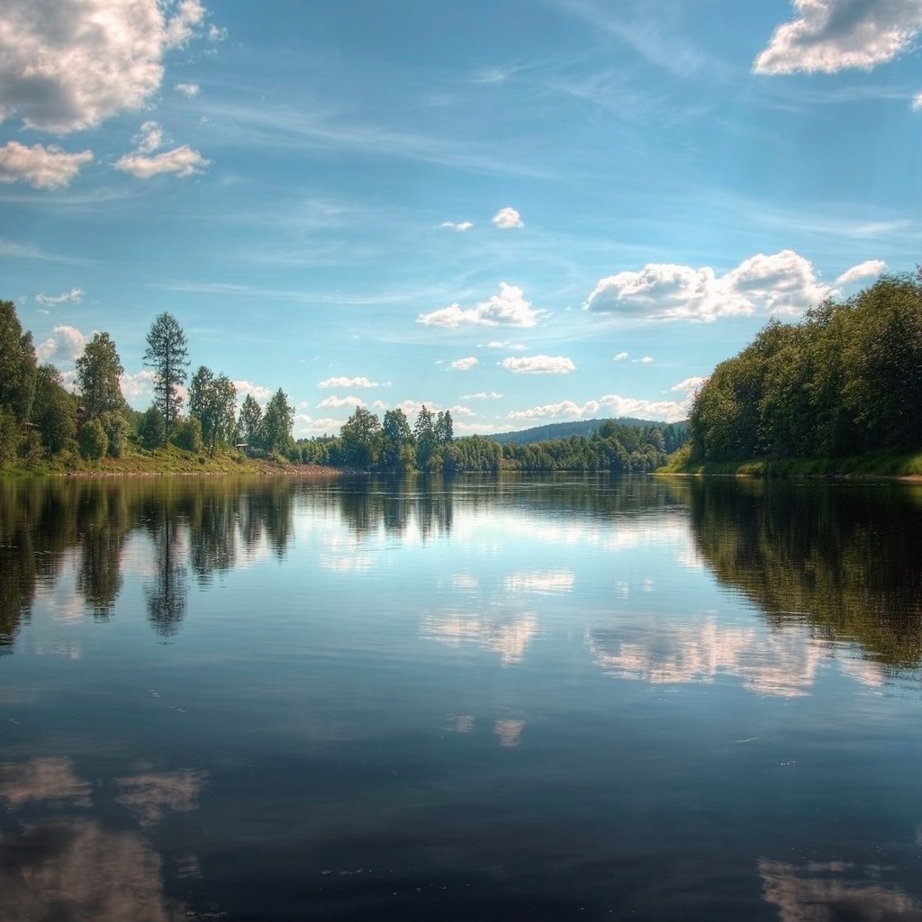 Обои деревья, озеро, отражение, trees, lake, reflection разрешение 2560x1600 Загрузить