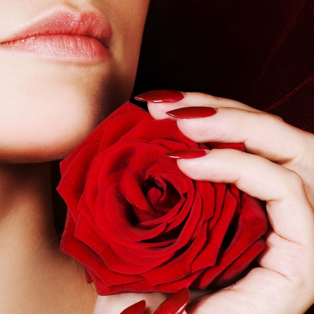 Обои девушка, роза, губы, ногти, girl, rose, lips, nails разрешение 2560x1600 Загрузить