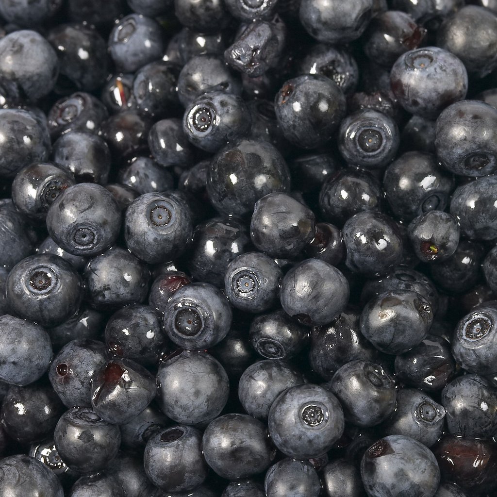 Обои ягоды, черника, лесные, berries, blueberries, forest разрешение 1920x1200 Загрузить