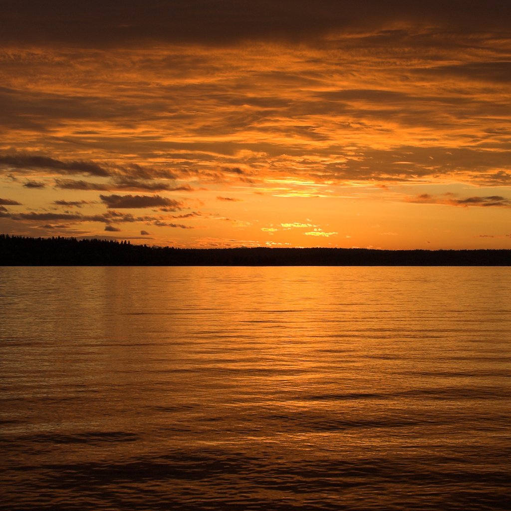 Обои вода, вечер, закат, море, water, the evening, sunset, sea разрешение 1920x1200 Загрузить