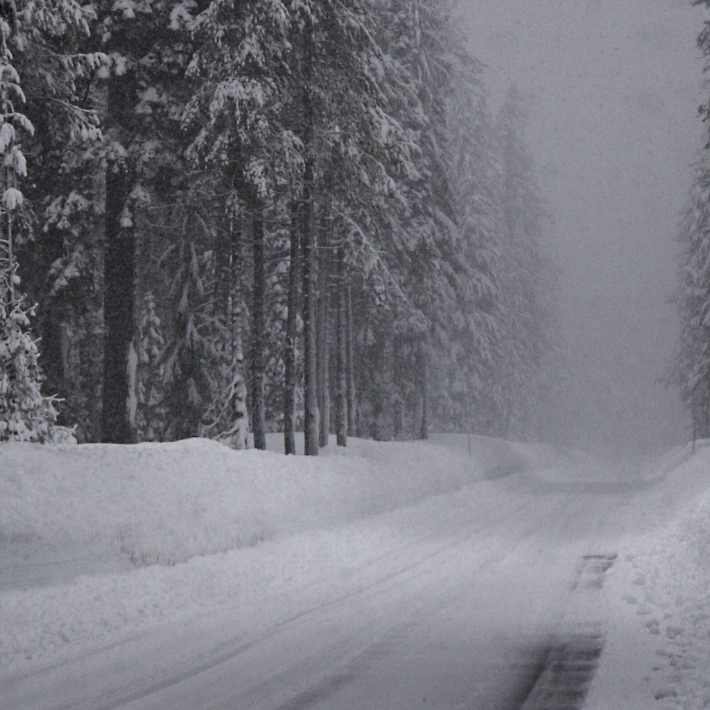 Обои дорога, снег, зима, ельник, road, snow, winter, spruce forest разрешение 2560x1024 Загрузить