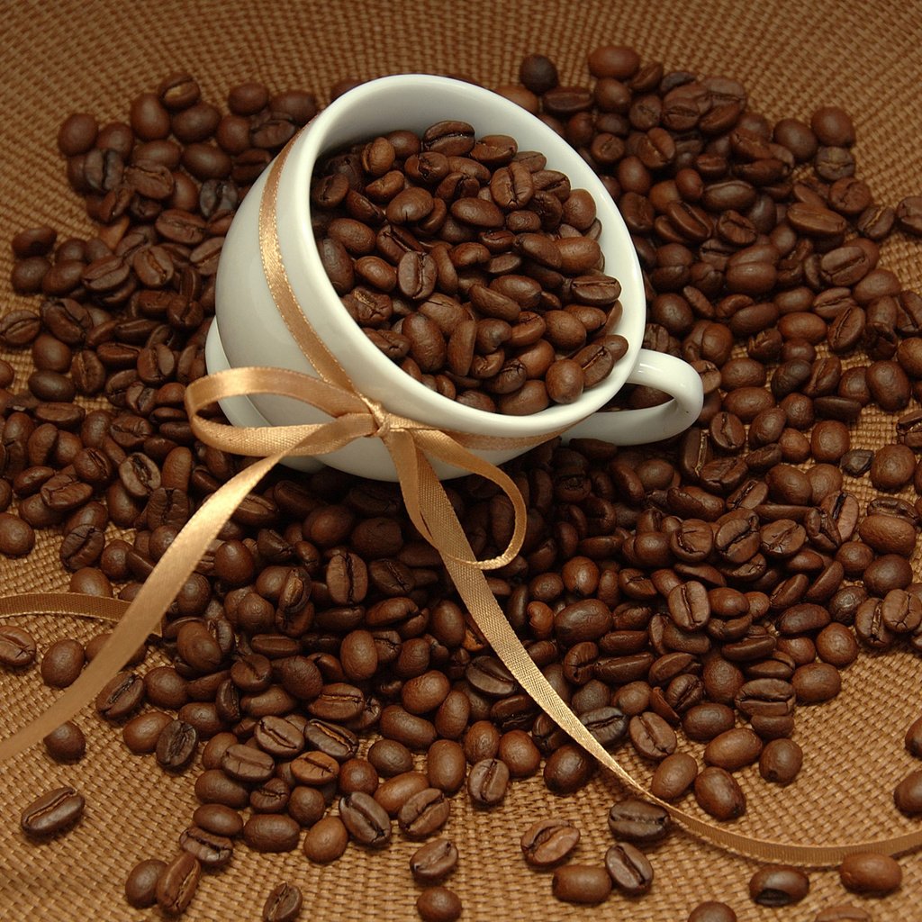 Обои макро, еда, кофе, чашка, кофейные зерна, macro, food, coffee, cup, coffee beans разрешение 1920x1200 Загрузить