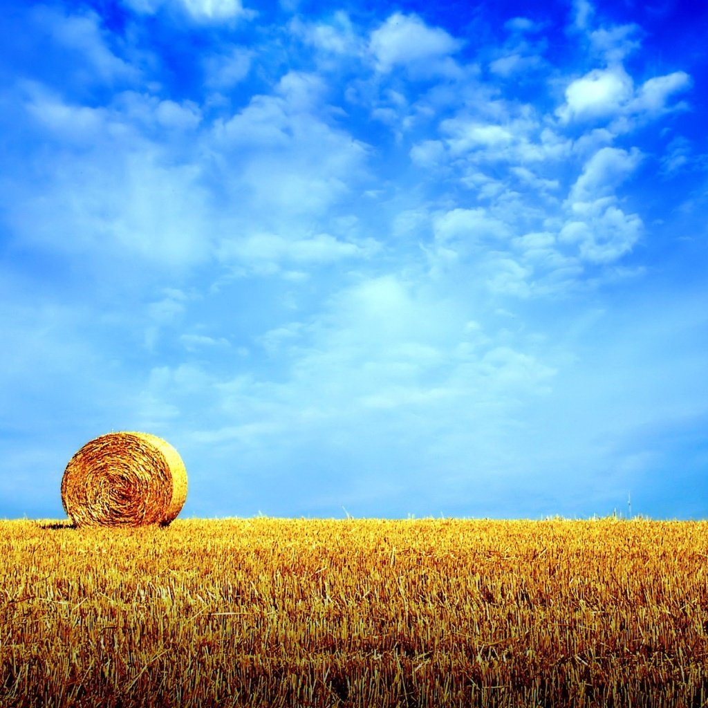 Обои небо, облака, поле, горизонт, сено, стог, the sky, clouds, field, horizon, hay, stack разрешение 1920x1440 Загрузить