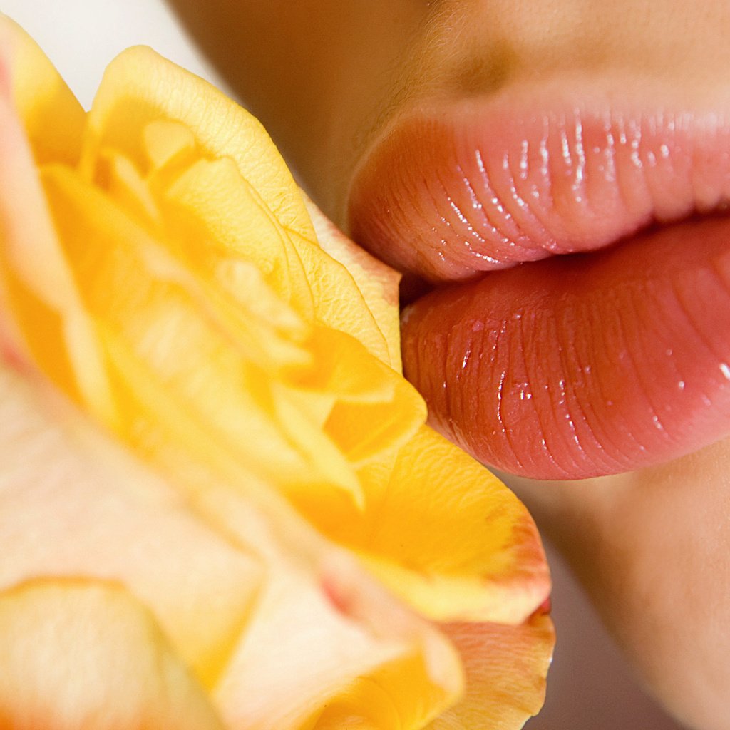 Обои цветы, девушка, роза, лепестки, губы, поцелуй, желтая роза, flowers, girl, rose, petals, lips, kiss, yellow rose разрешение 2560x1600 Загрузить