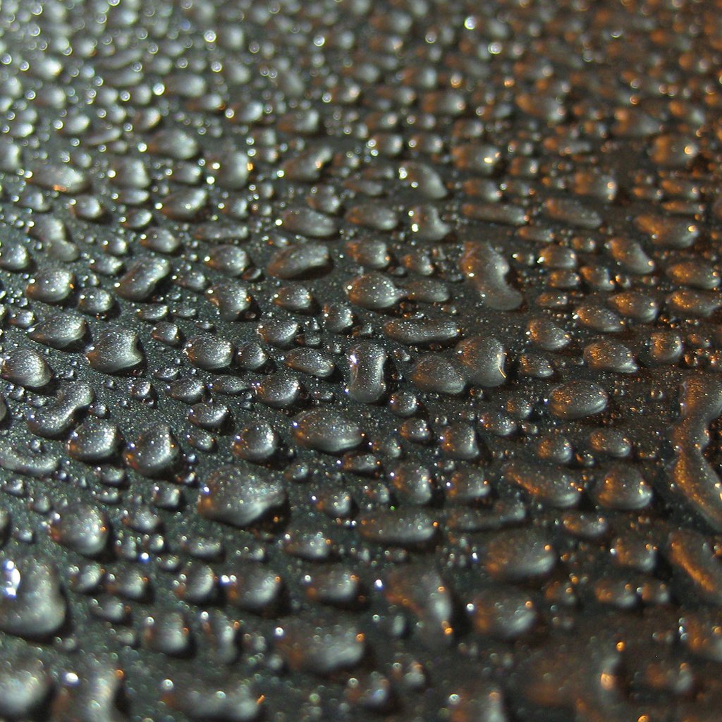 Обои вода, капли, water, drops разрешение 1920x1200 Загрузить