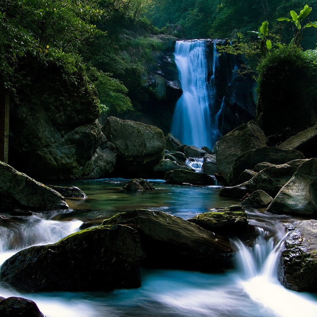 Обои камни, лес, водопад, тропики, stones, forest, waterfall, tropics разрешение 1920x1080 Загрузить