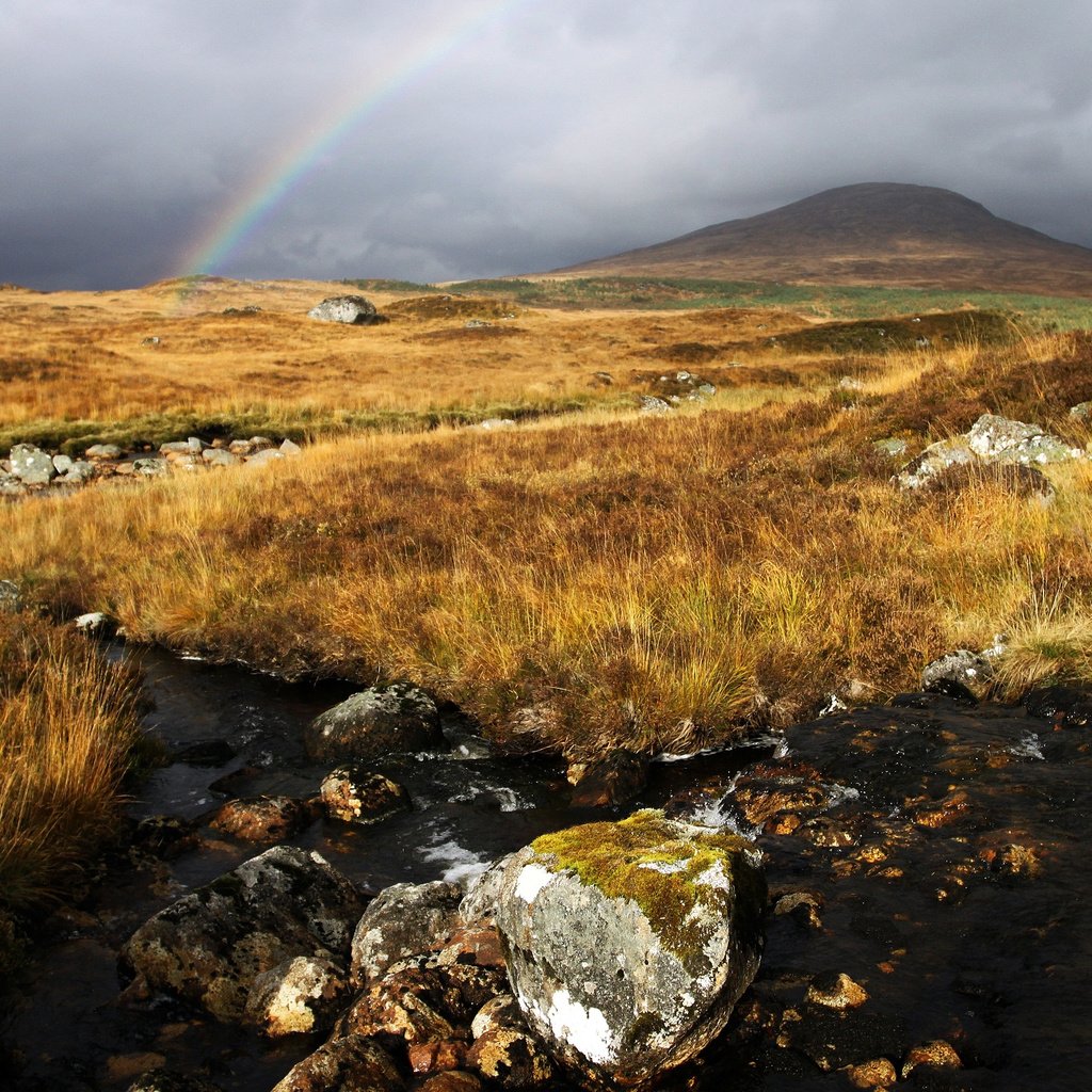 Обои небо, вода, камни, ручей, поле, радуга, холм, the sky, water, stones, stream, field, rainbow, hill разрешение 2560x1600 Загрузить