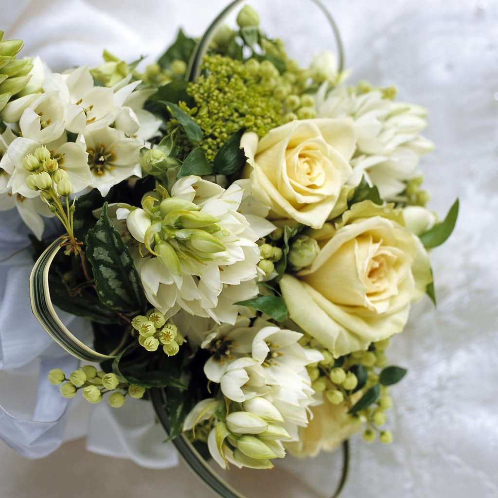 Обои цветы, розы, букет, нежность, оформление, свадебный букет невесты, flowers, roses, bouquet, tenderness, design разрешение 1920x1200 Загрузить