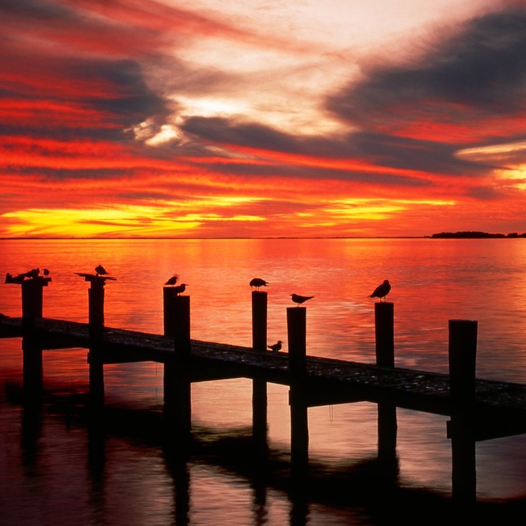 Обои озеро, закат, причал, чайки, lake, sunset, pier, seagulls разрешение 1999x1333 Загрузить