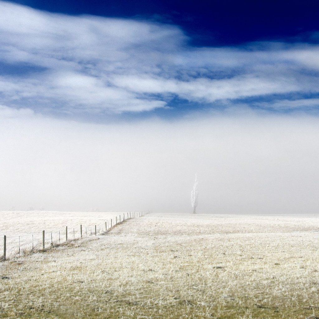 White fields. Забор и небо. Небо за забором. Трава забор небо. Настенный пейзаж в тумане.