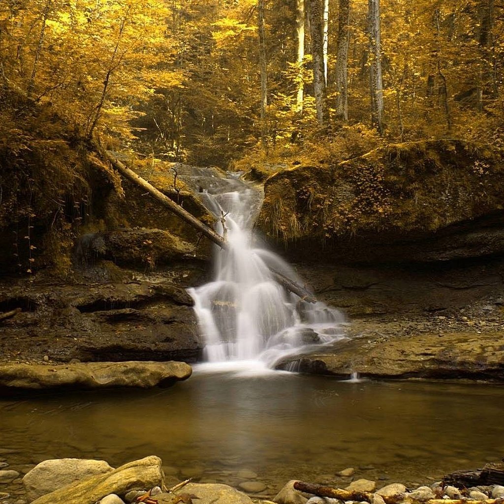 Обои камни, галька, лес, водопад, осень, stones, pebbles, forest, waterfall, autumn разрешение 1920x1080 Загрузить