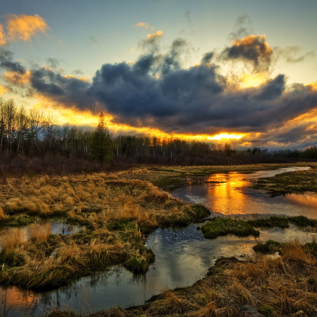 Обои трава, природа, болото, закат, тучи, grass, nature, swamp, sunset, clouds разрешение 2560x1600 Загрузить