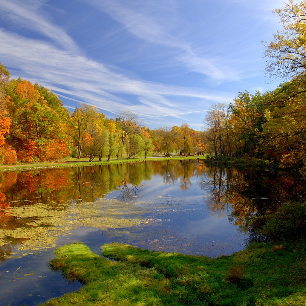 Обои природа, парк, осень, пруд, nature, park, autumn, pond разрешение 1920x1200 Загрузить