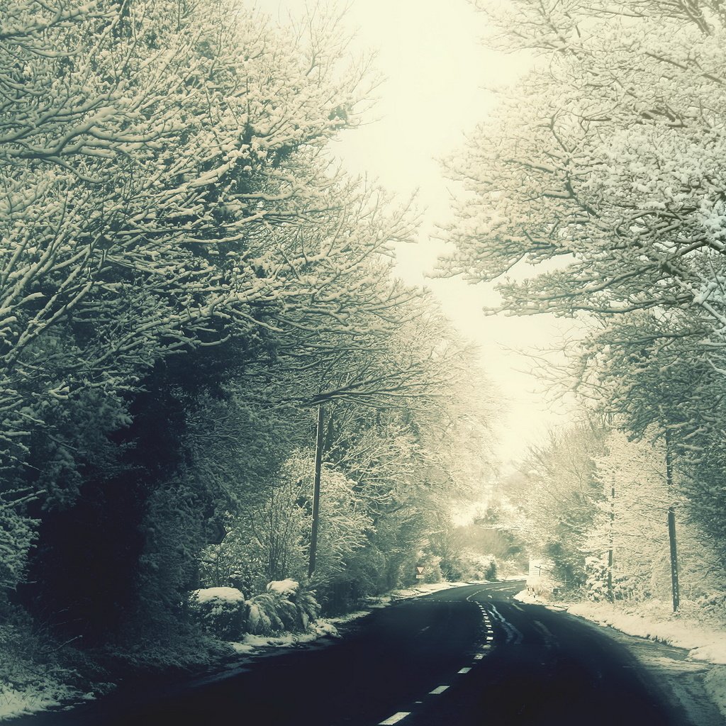 Обои дорога, деревья, снег, зима, ветки, мороз, иней, road, trees, snow, winter, branches, frost разрешение 1920x1200 Загрузить