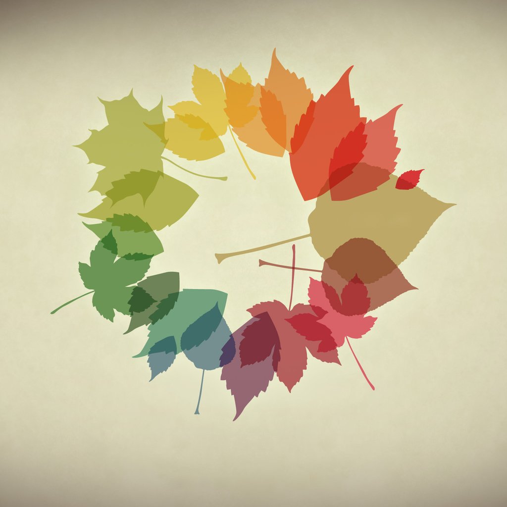 Обои обои, листья, осень, минимализм, осенние обои, wallpaper, leaves, autumn, minimalism, autumn wallpaper разрешение 2560x1440 Загрузить