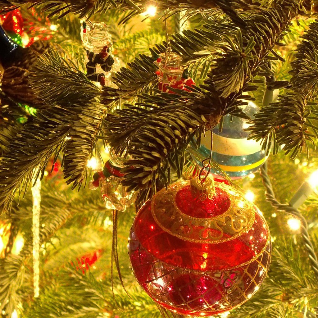 Обои свет, елка, красный, игрушки, праздник, фонарики, стеклянный шар, light, tree, red, toys, holiday, lanterns, glass globe разрешение 1920x1200 Загрузить