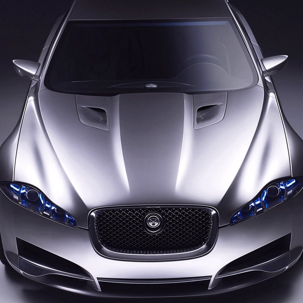 Обои ягуа́р, jaguar разрешение 1920x1080 Загрузить