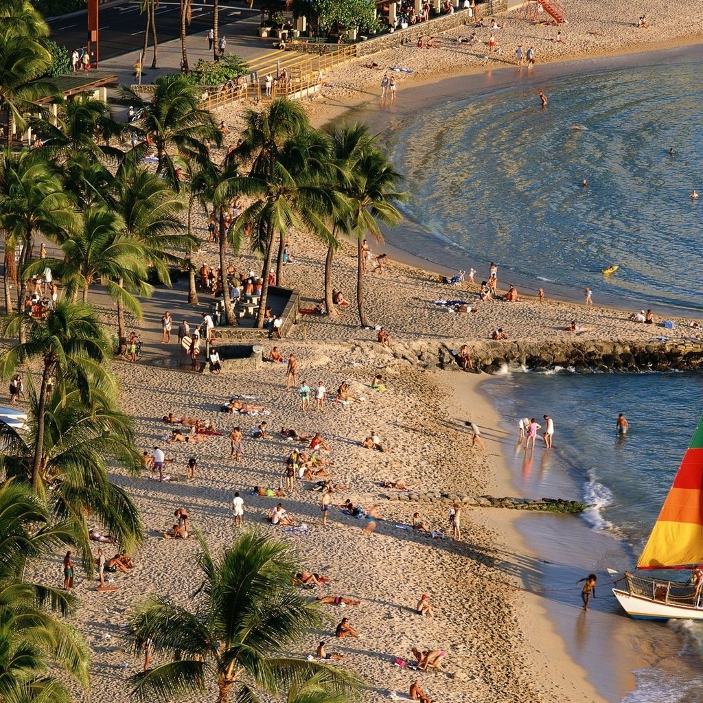 Обои берег, пейзаж, пляж, люди, пальмы, океан, яхта, shore, landscape, beach, people, palm trees, the ocean, yacht разрешение 1920x1080 Загрузить