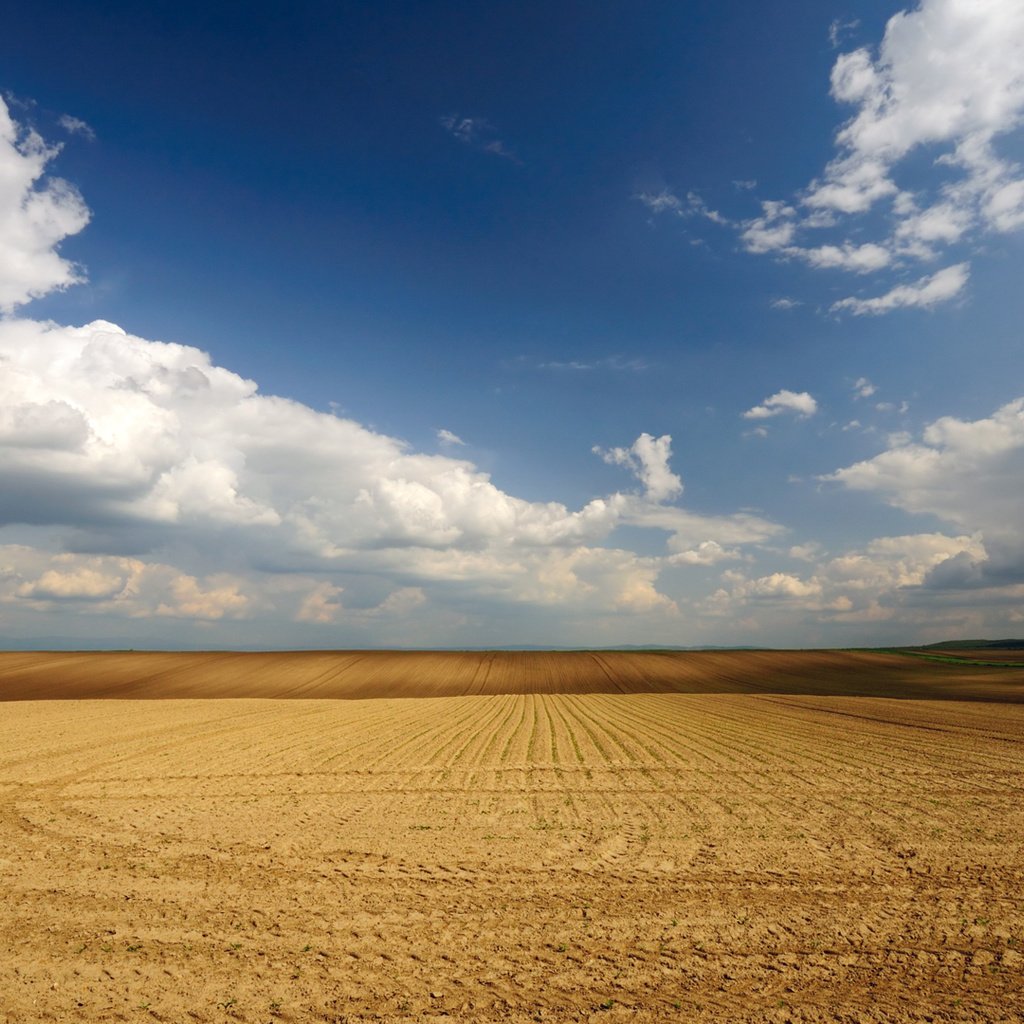 Обои небо, облака, поле, горизонт, the sky, clouds, field, horizon разрешение 1920x1080 Загрузить