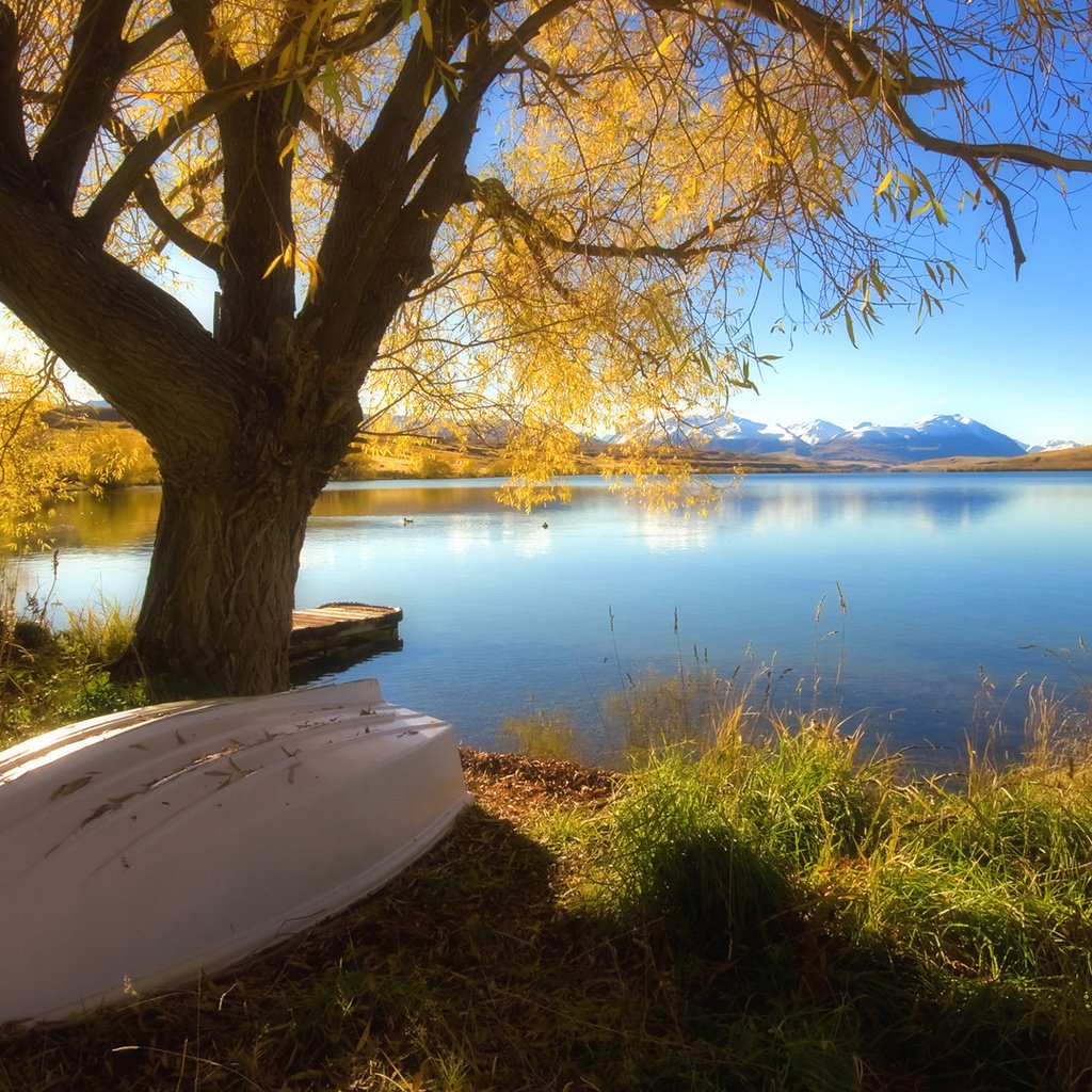 Обои озеро, дерево, осень, лодка, lake, tree, autumn, boat разрешение 1920x1080 Загрузить