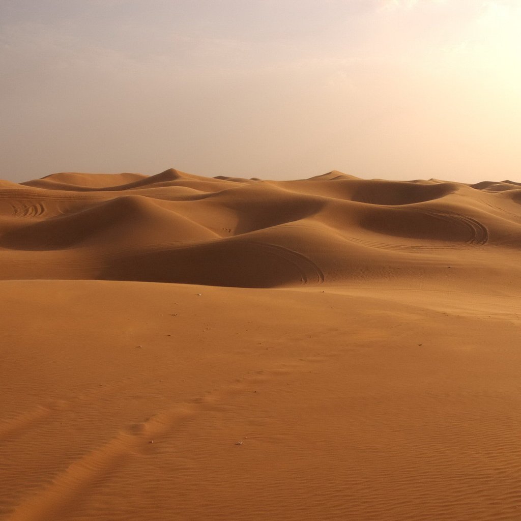 Обои песок, пустыня, дюны, сахара, sand, desert, dunes, sugar разрешение 1920x1440 Загрузить