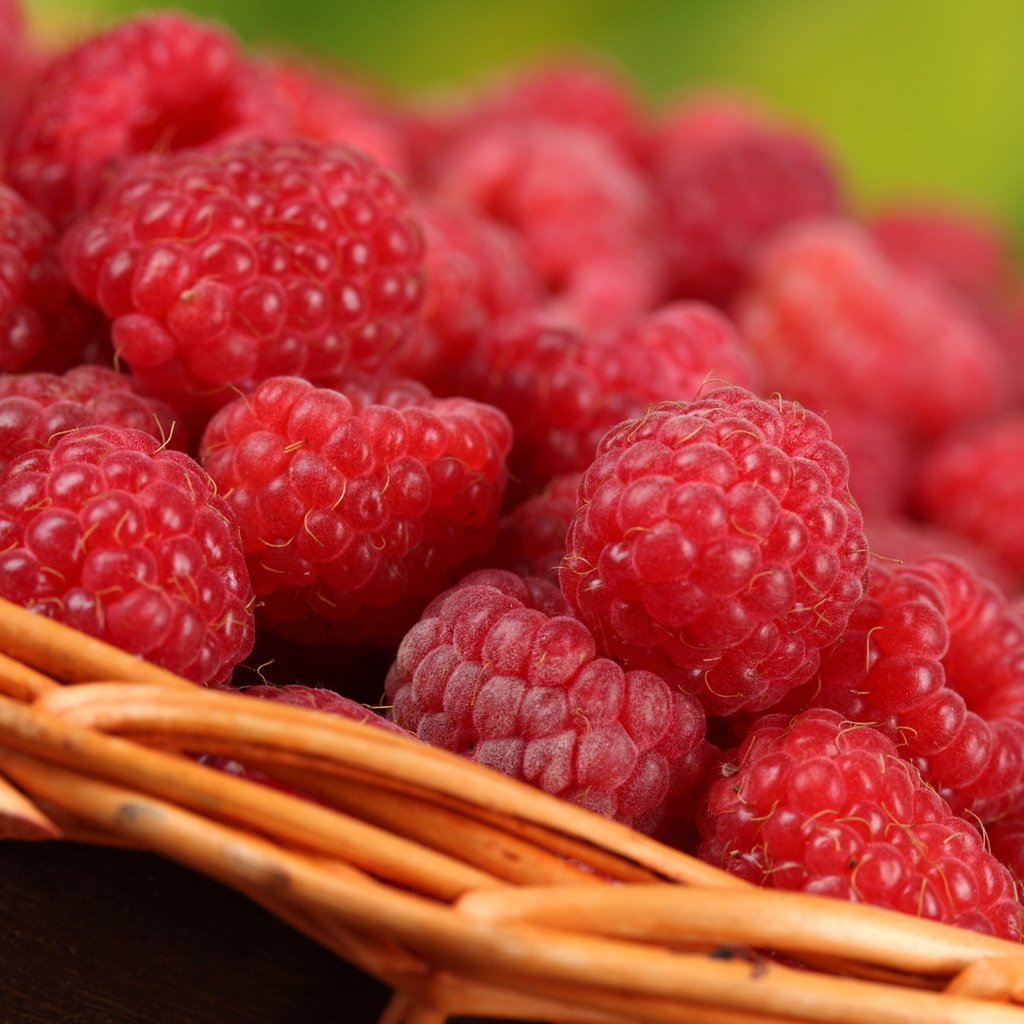 Обои макро, малина, ягоды, корзинка, вкусно, macro, raspberry, berries, basket, delicious разрешение 1920x1080 Загрузить