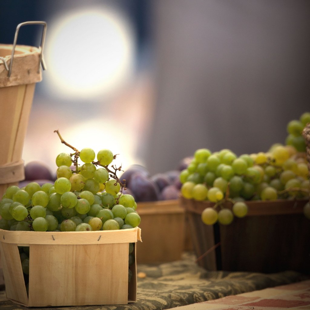 Обои виноград, еда, корзина, grapes, food, basket разрешение 2560x1600 Загрузить
