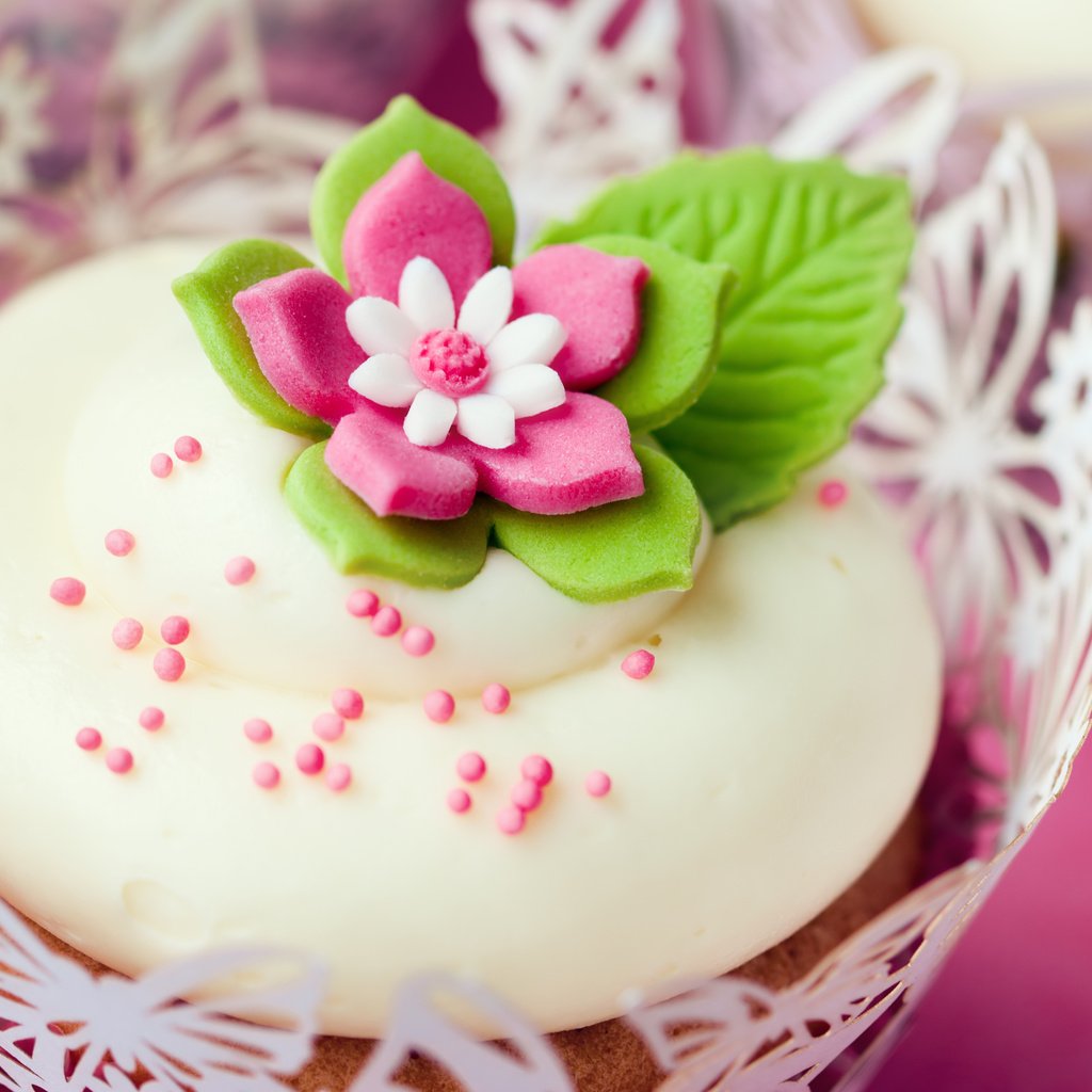Обои розовый, десерт, мини, сладкий, pink, dessert, mini, sweet разрешение 4069x2720 Загрузить