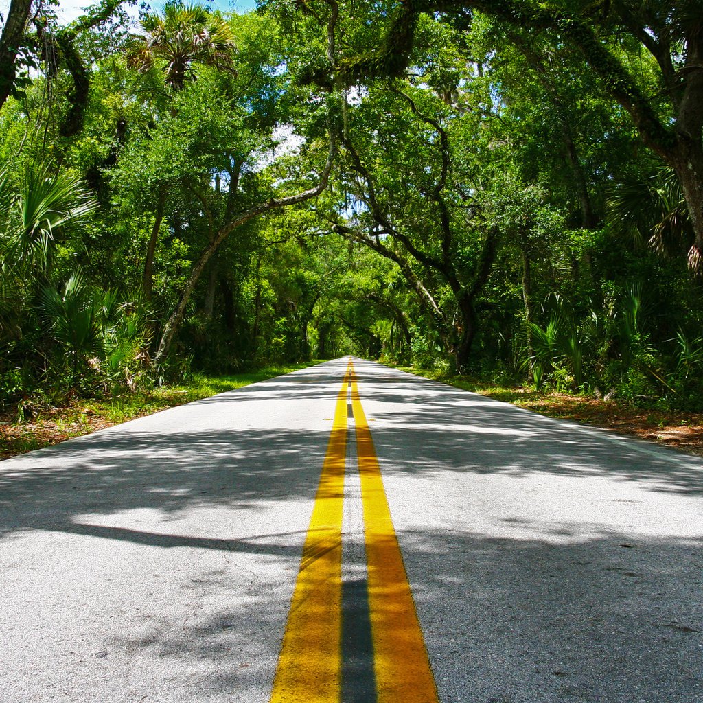 Обои дорога, деревья, линии, разметка, асфальт, road, trees, line, markup, asphalt разрешение 1920x1200 Загрузить