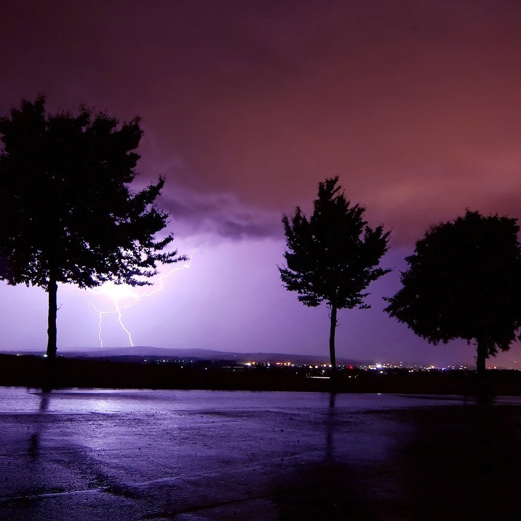 Обои небо, ночь, деревья, молния, the sky, night, trees, lightning разрешение 1920x1080 Загрузить