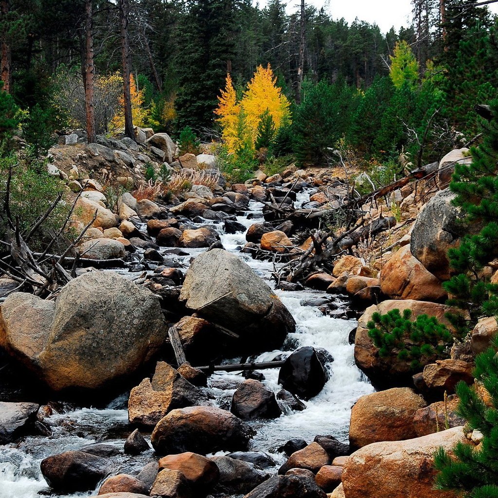 Обои небо, поток, деревья, вода, горы, природа, камни, пейзаж, ручей, the sky, trees, water, mountains, nature, stones, landscape, stream разрешение 1920x1080 Загрузить