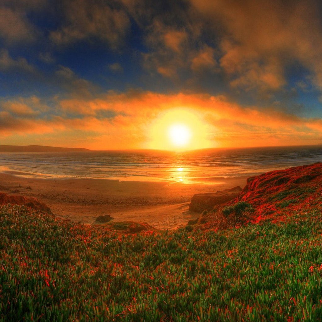 Обои солнце, природа, закат, море, пляж, the sun, nature, sunset, sea, beach разрешение 1920x1080 Загрузить