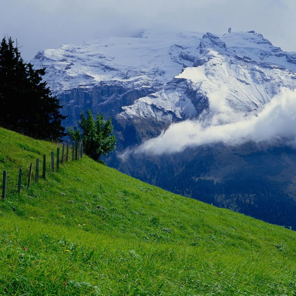 Обои небо, горы, зелень, лето, луг, альпы, the sky, mountains, greens, summer, meadow, alps разрешение 1920x1080 Загрузить