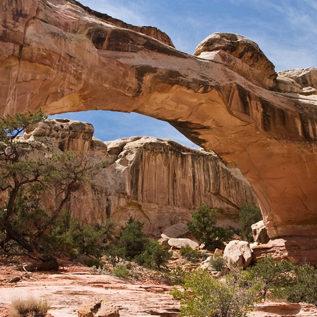 Обои скалы, каньон, арка, capitol reef national park, rocks, canyon, arch разрешение 1920x1080 Загрузить